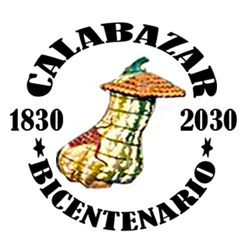 Proyecto del Bicentenario